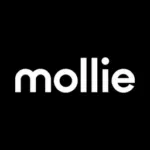 Mollie payments for woocommerce