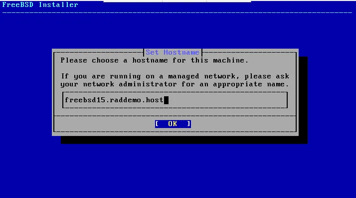 Choose Hostname - Launch A Freebsd 15 Vps Choose hostname - launch a freebsd 15 vps