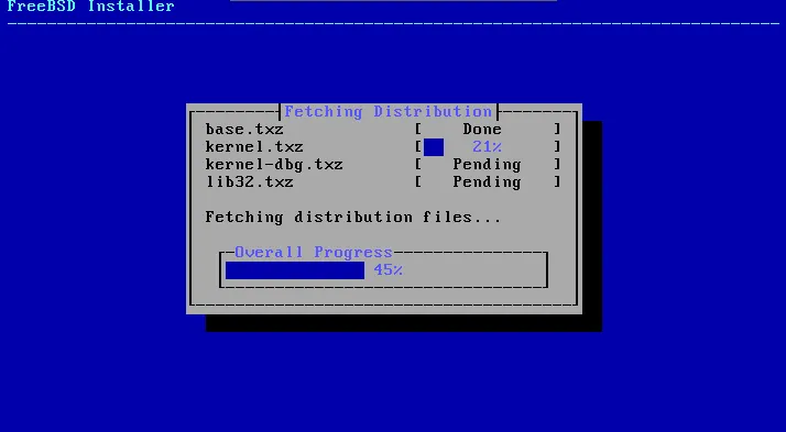 Fetching Distribution Files - Launch A Freebsd 15 Vps Fetching distribution files - launch a freebsd 15 vps