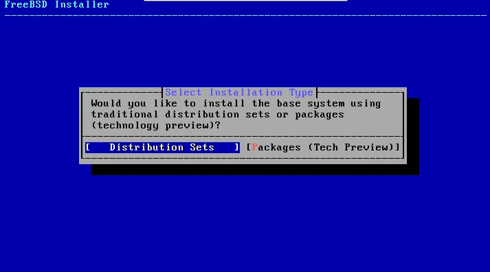 Configure Network Select installation type - launch a freebsd 15 vps