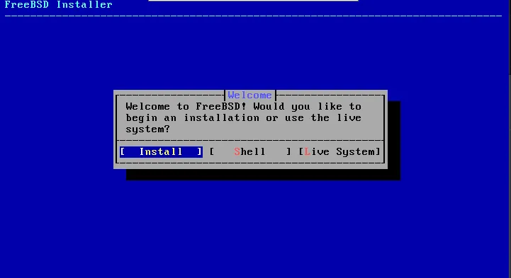 Vnc Console - Launch A Freebsd 15 Vps Vnc console - launch a freebsd 15 vps