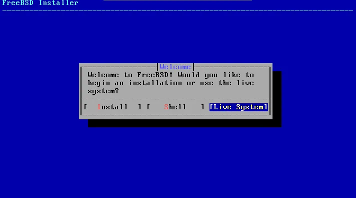 Launch A Freebsd 15 Vps Server Image 6 Select 'live system'